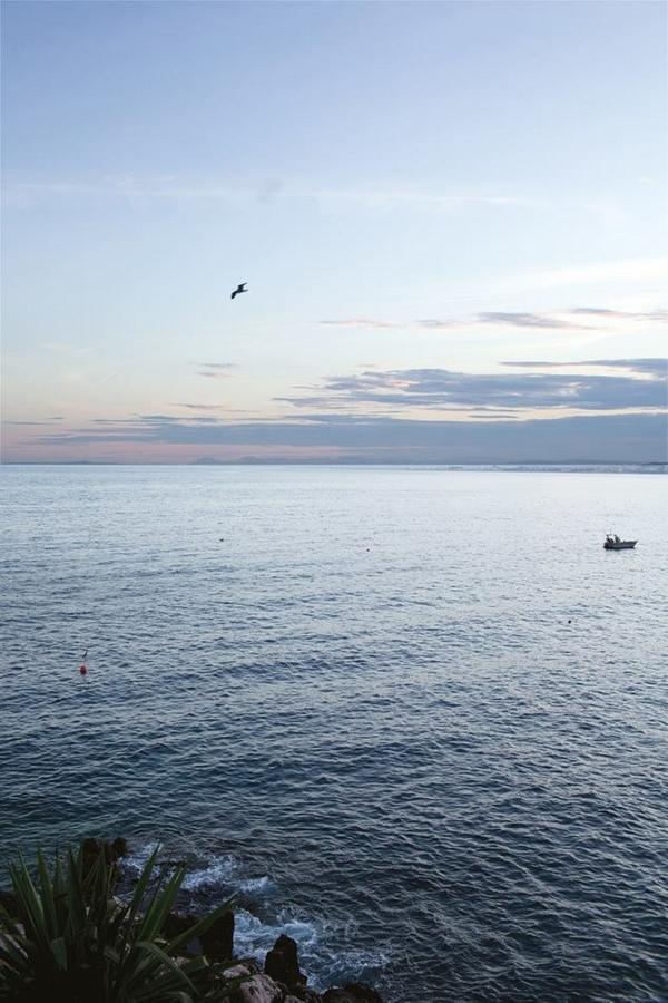 Grand H -F2, Face Vieux- Nice, Terrasse, Ascenseur, Climatisation, Terrace - Nice City Center 外观 照片