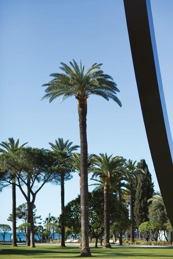 Grand H -F2, Face Vieux- Nice, Terrasse, Ascenseur, Climatisation, Terrace - Nice City Center 外观 照片